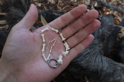 Fluid Striped Skunk Tail Articulation with Ouroboros Ring