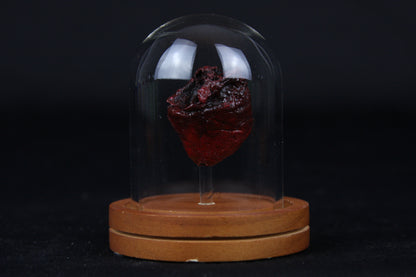 Baby Goat Heart Dome