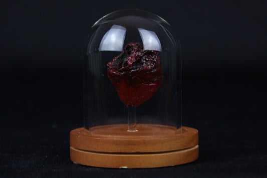 Baby Goat Heart Dome