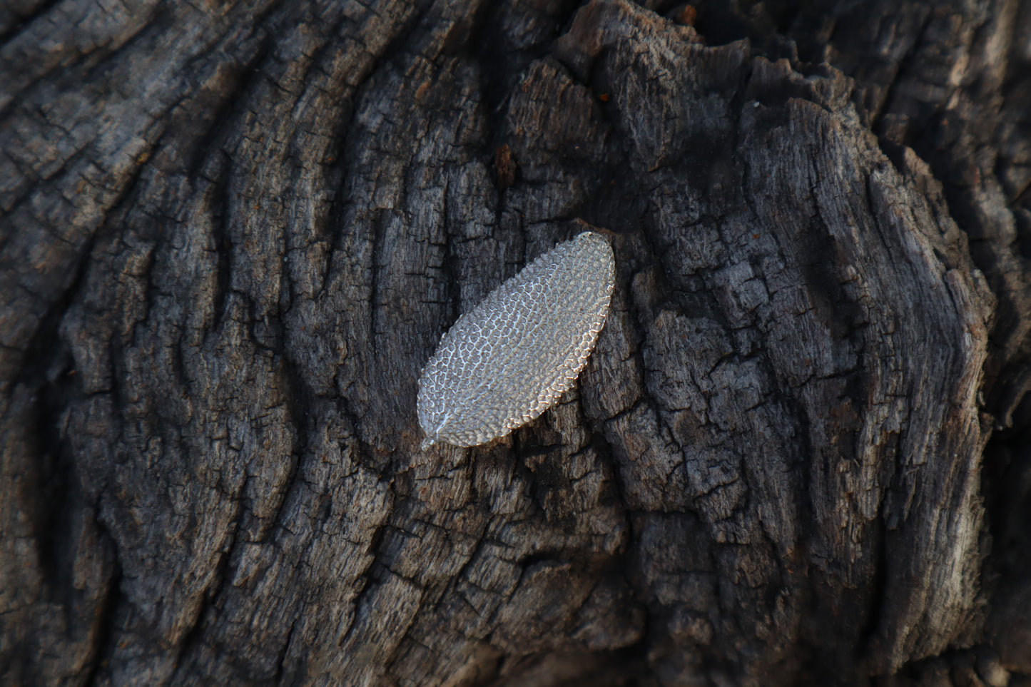 Sage Leaf Charm - .999 Fine Silver