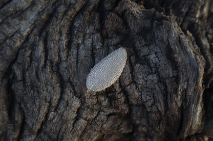 Sage Leaf Charm - .999 Fine Silver