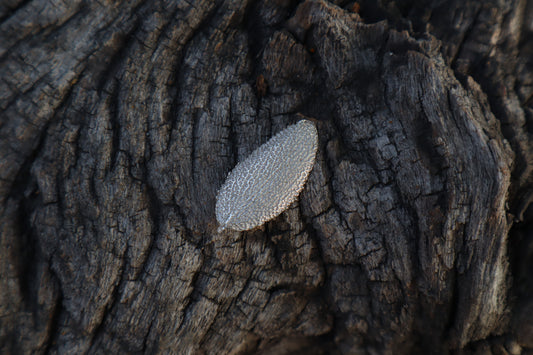 Sage Leaf Charm - .999 Fine Silver
