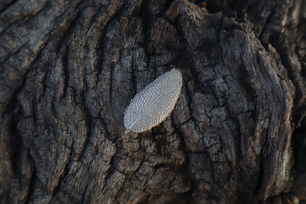 Sage Leaf Charm - .999 Fine Silver