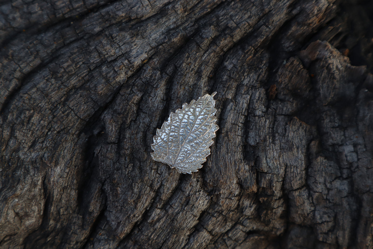 Stinging Nettle Leaf Charm - .999 Fine Silver