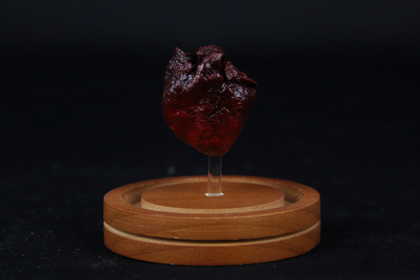 Baby Goat Heart Dome