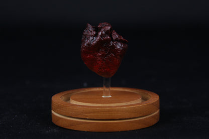 Baby Goat Heart Dome