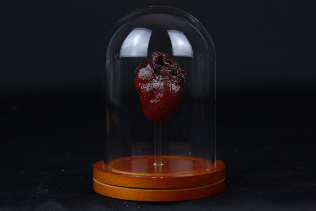 Red Fox Heart Dome