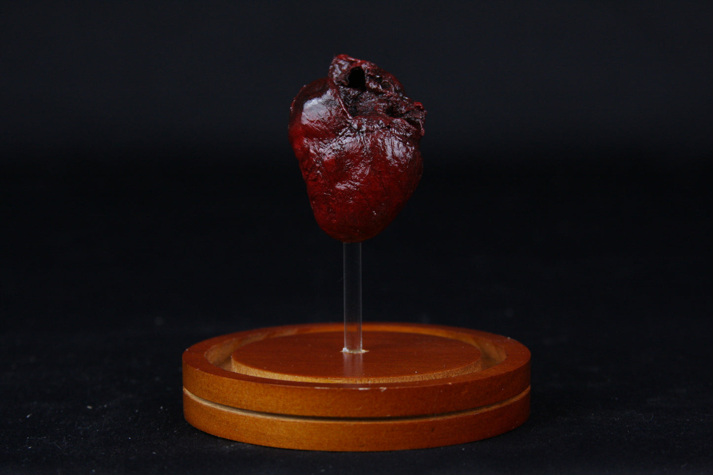 Red Fox Heart Dome