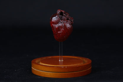 Red Fox Heart Dome