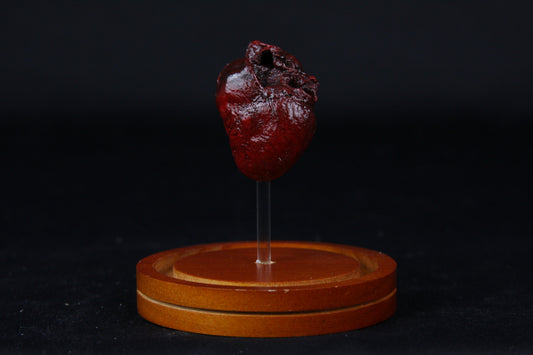 Red Fox Heart Dome