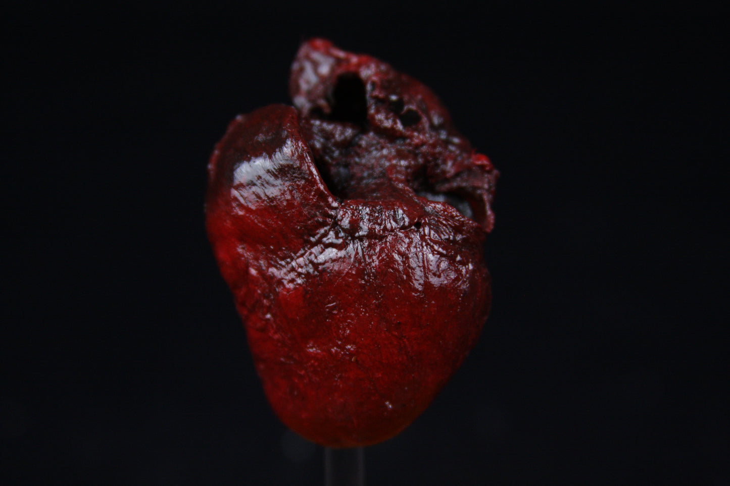 Red Fox Heart Dome