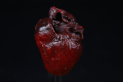 Red Fox Heart Dome