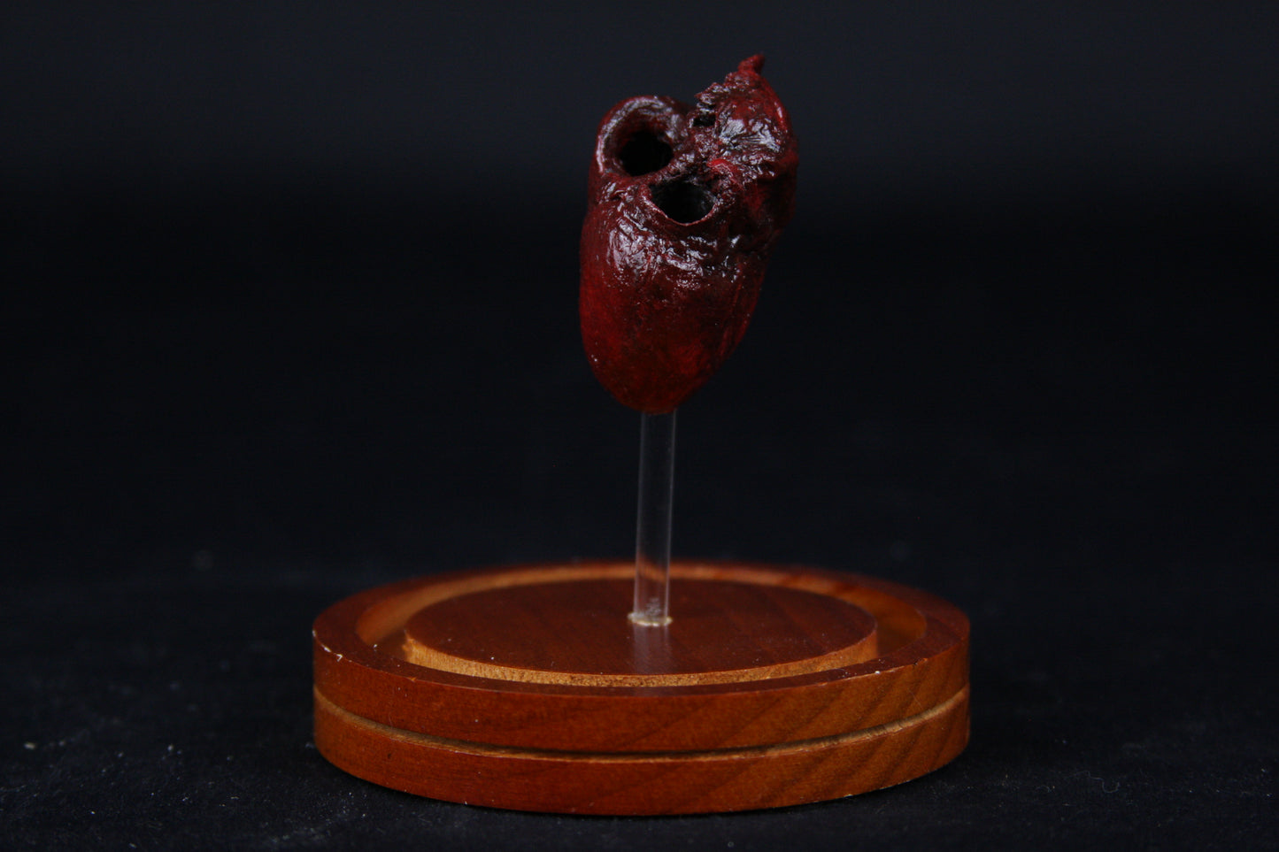 Red Fox Heart Dome