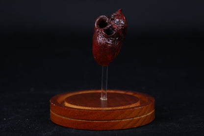 Red Fox Heart Dome