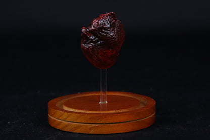 Red Fox Heart Dome