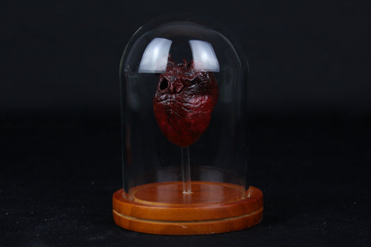 Red Fox Heart Dome