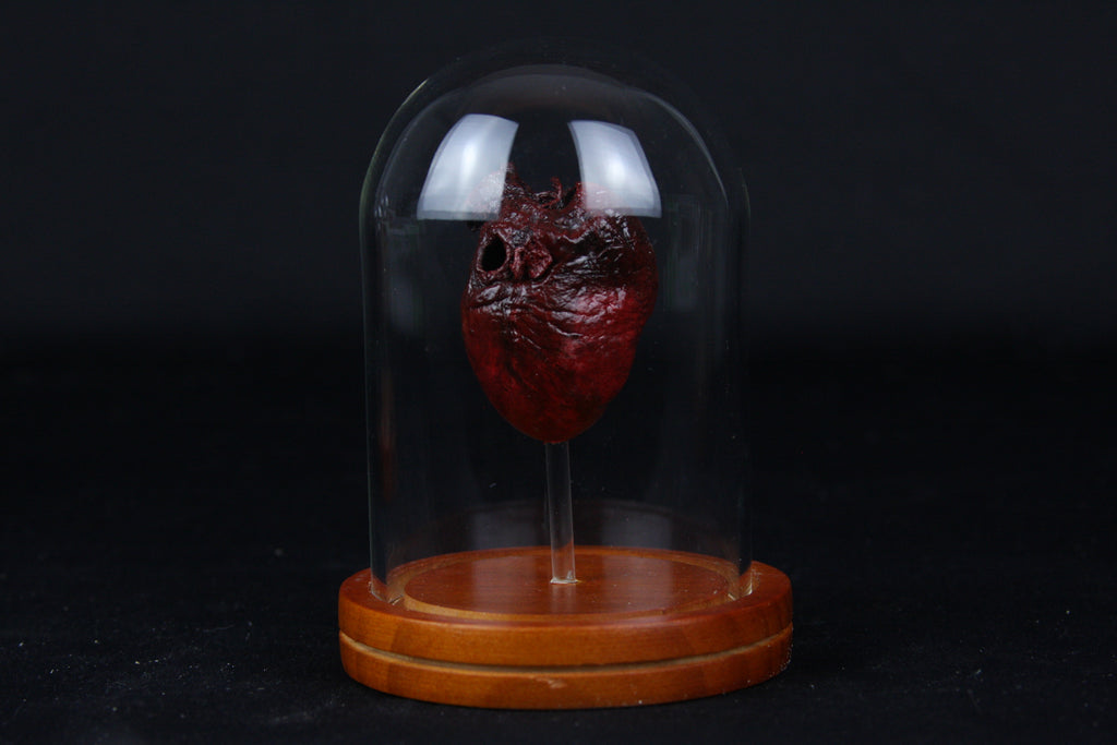 Red Fox Heart Dome