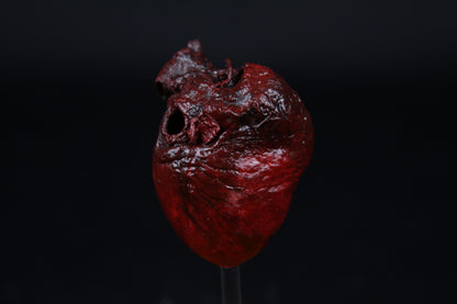 Red Fox Heart Dome