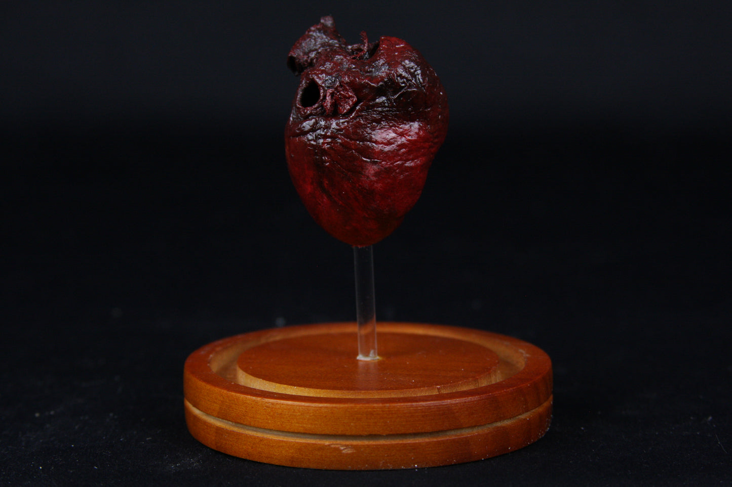 Red Fox Heart Dome