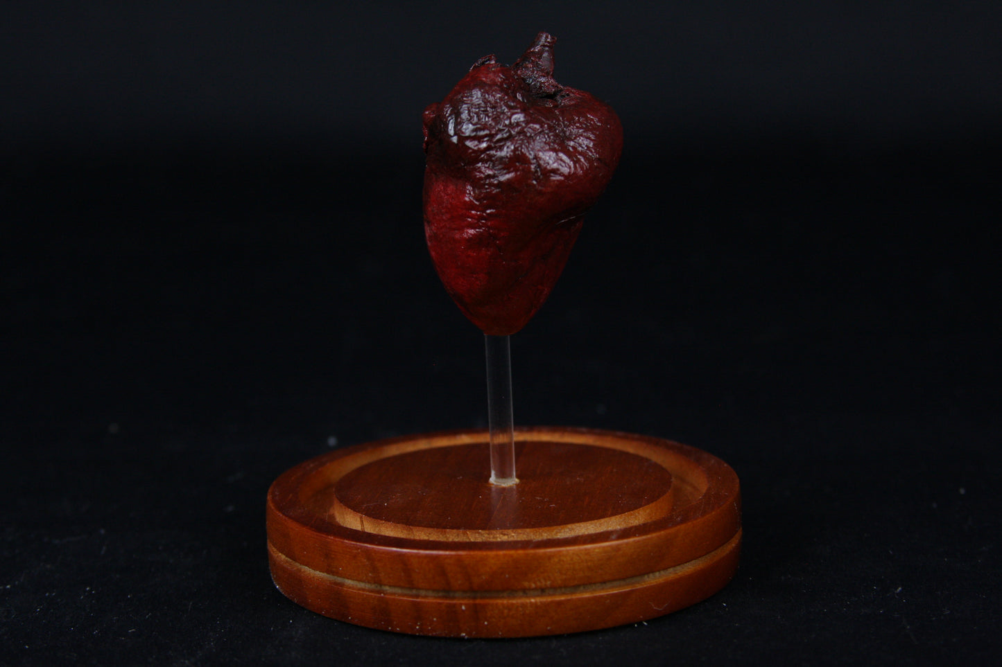 Red Fox Heart Dome