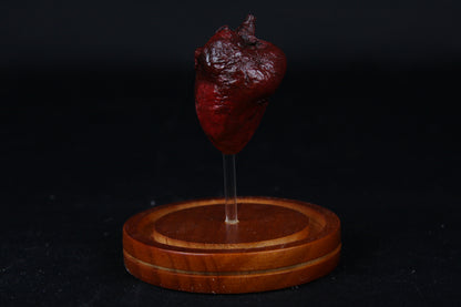 Red Fox Heart Dome