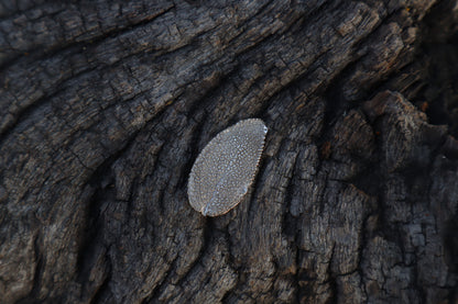 Sage Leaf Charm - .999 Fine Silver