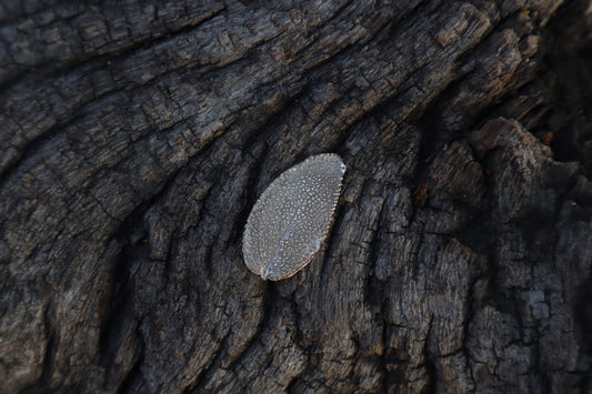 Sage Leaf Charm - .999 Fine Silver
