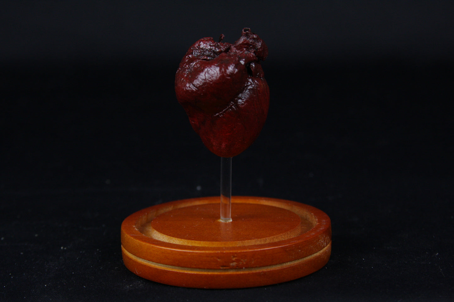 Red Fox Heart Dome