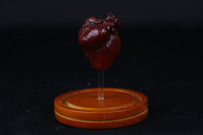 Red Fox Heart Dome