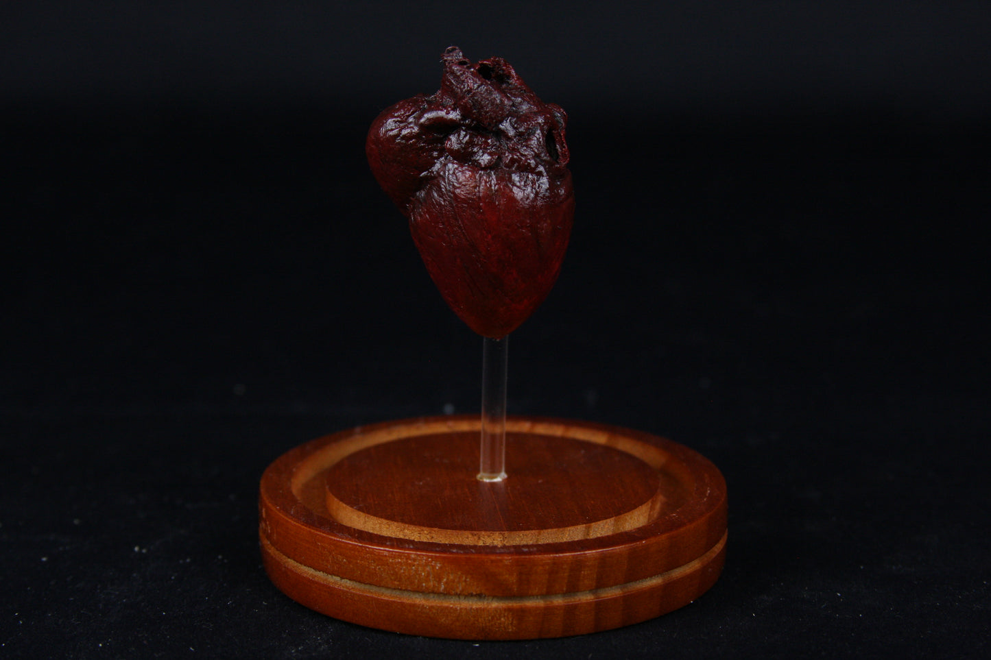 Red Fox Heart Dome