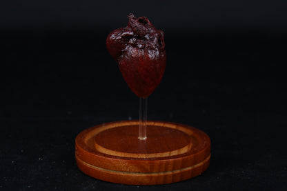 Red Fox Heart Dome