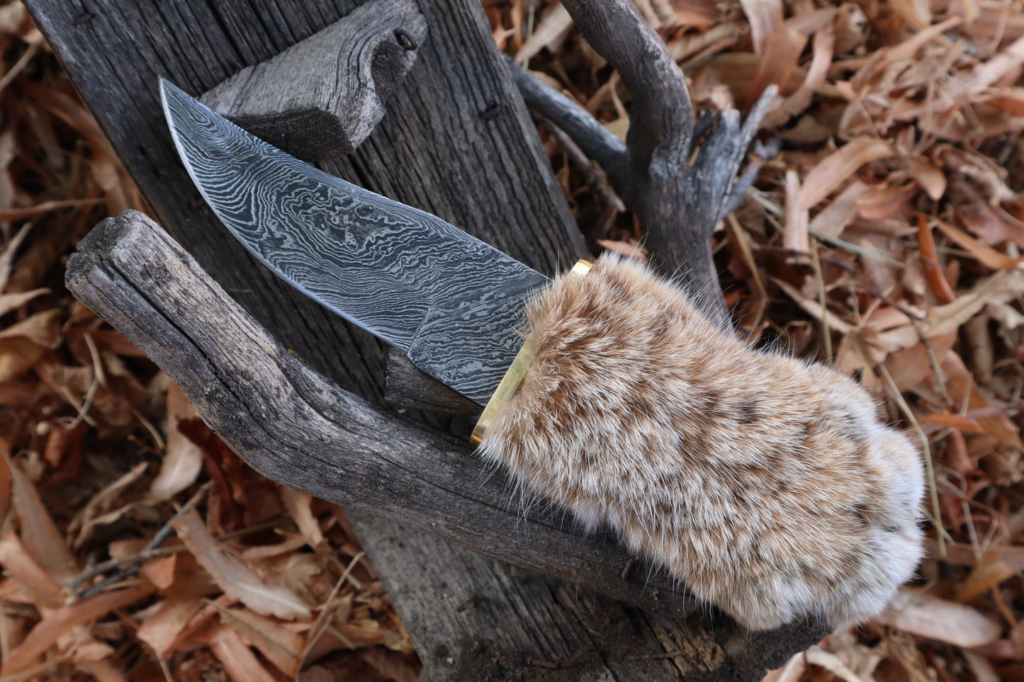 Damascus Bobcat Paw Athame