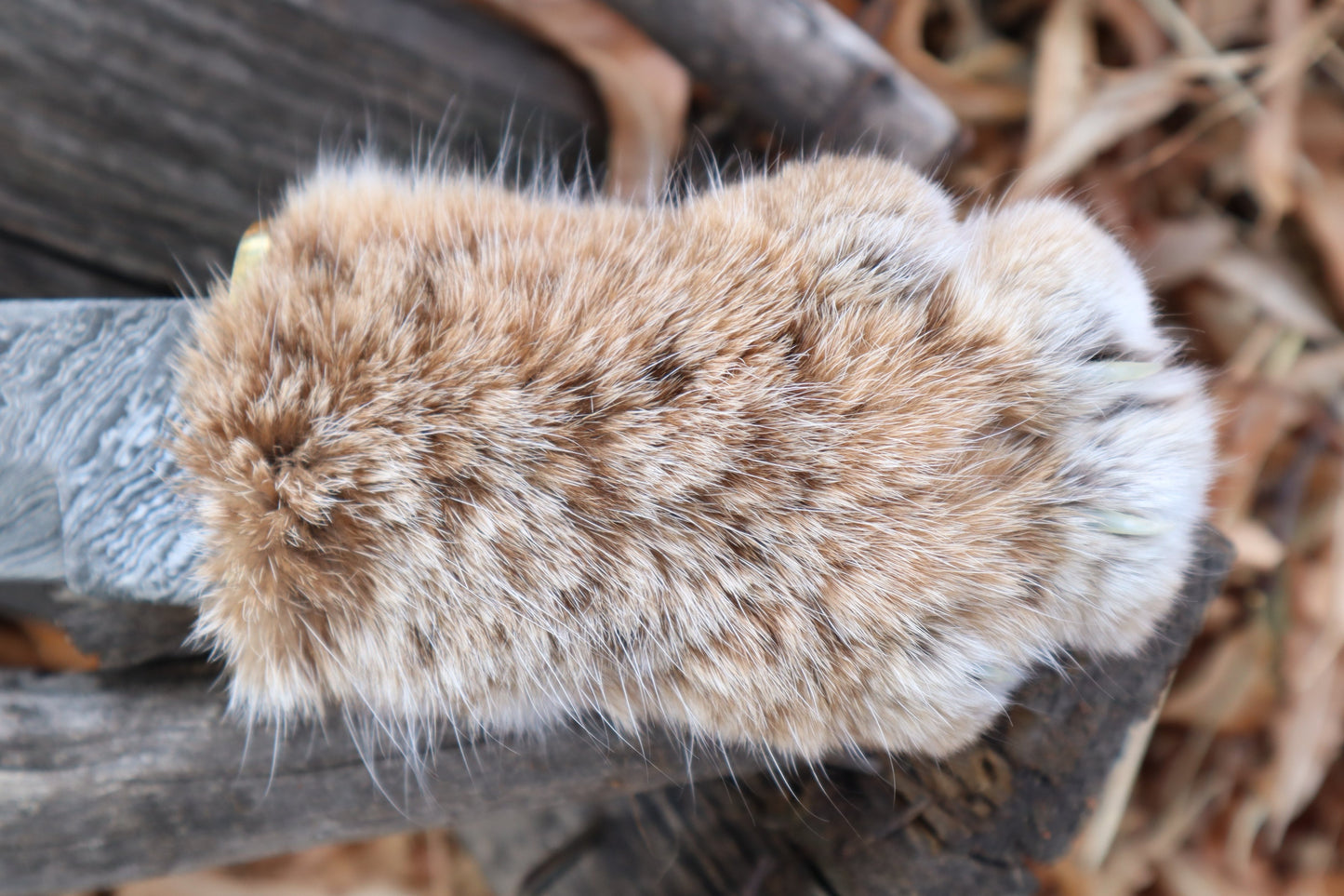 Damascus Bobcat Paw Athame