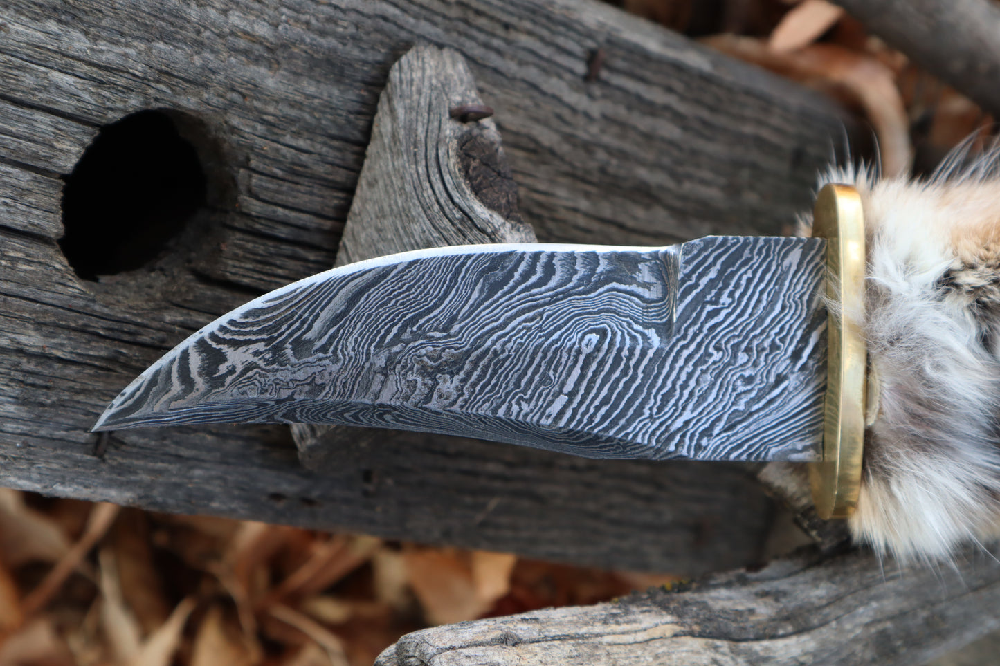 Damascus Bobcat Paw Athame