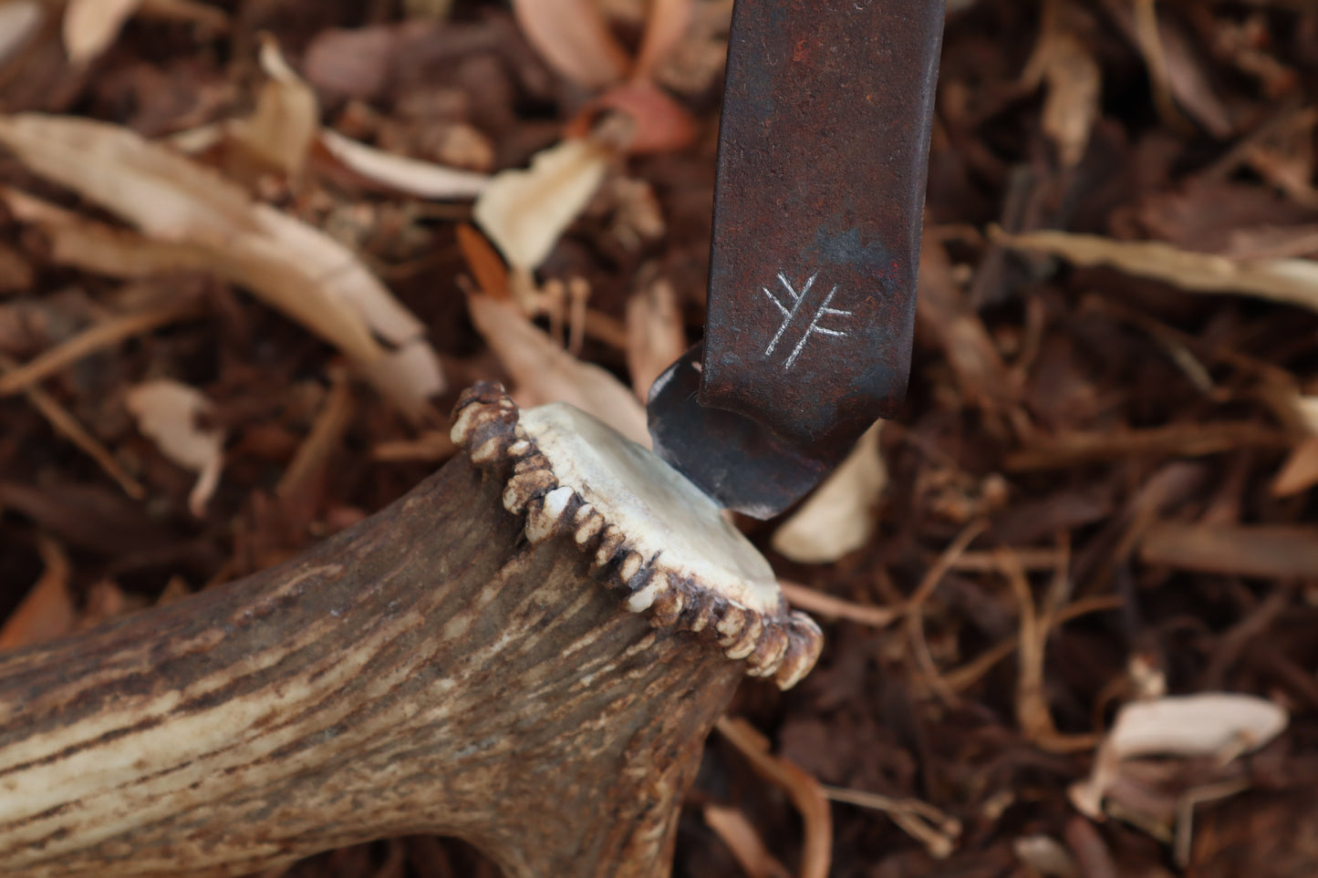 Elk Antler Sickle