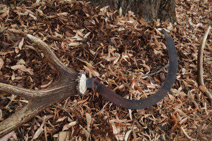 Elk Antler Sickle