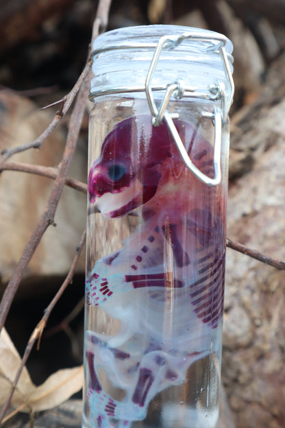 Diaphonized Fetal Raccoon