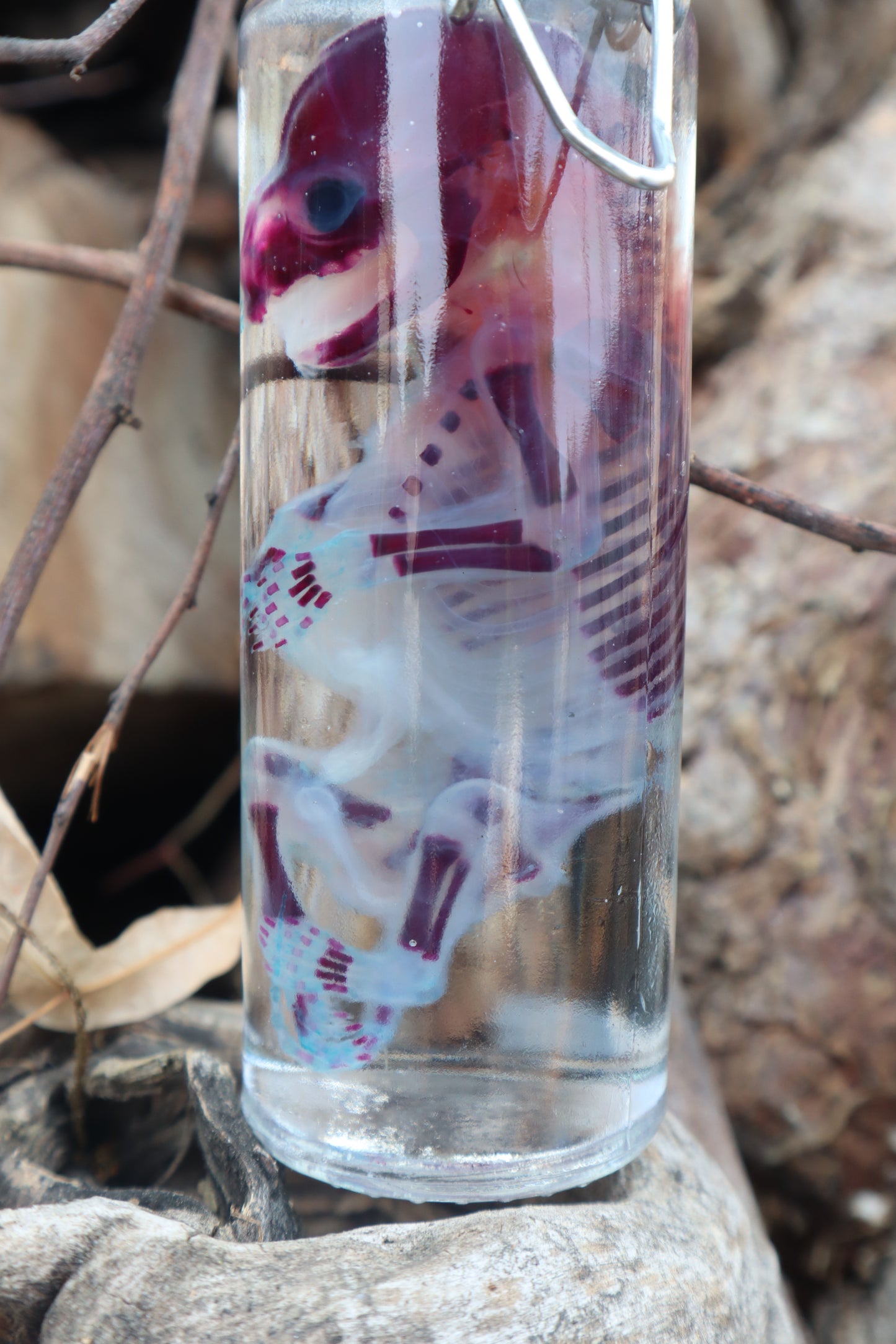 Diaphonized Fetal Raccoon