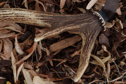 Elk Antler Sickle