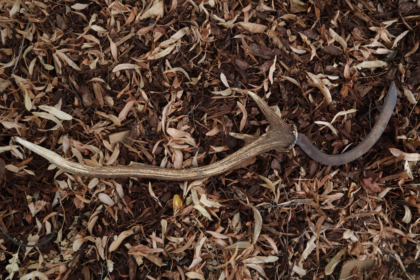 Elk Antler Sickle