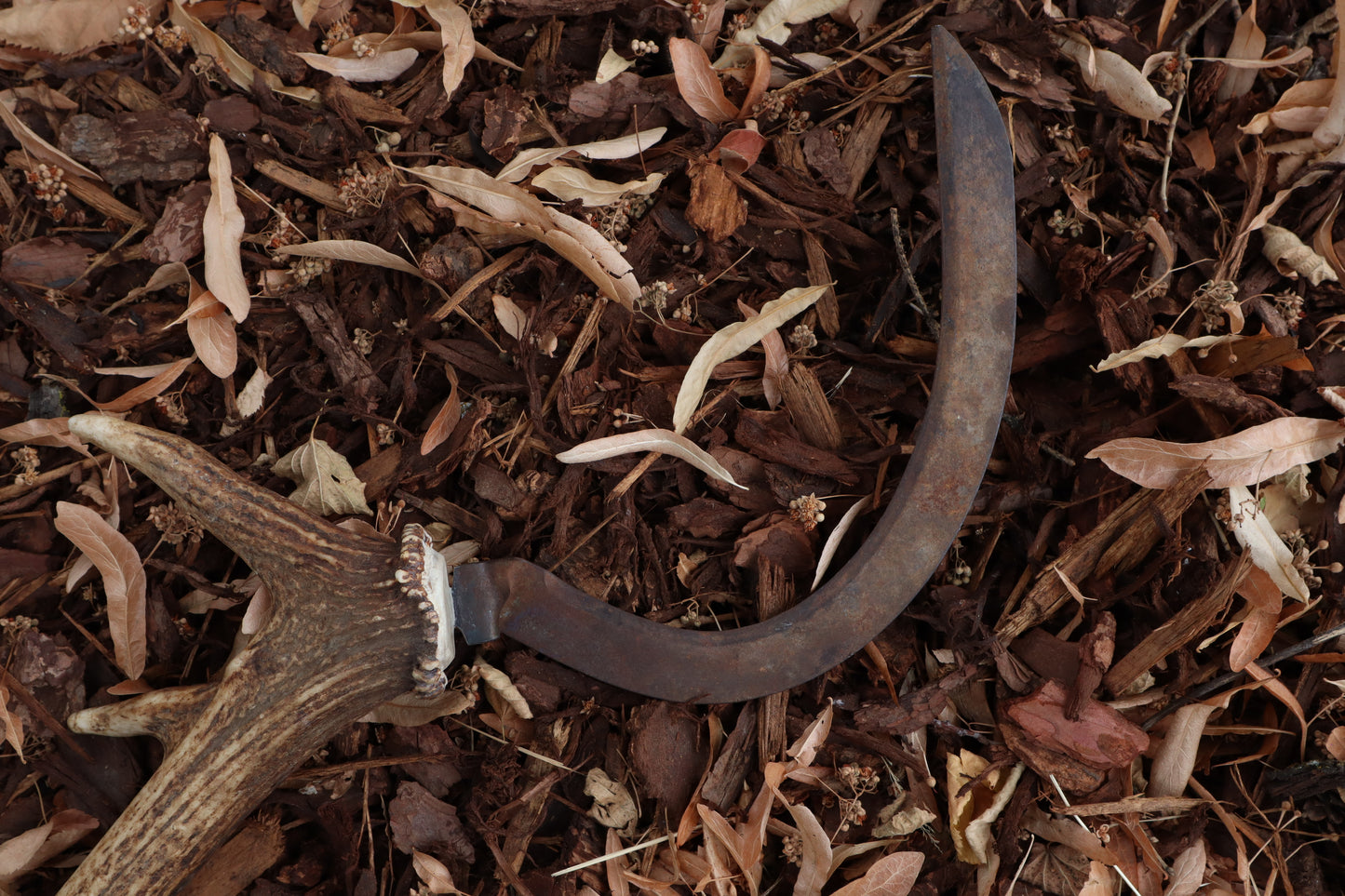 Elk Antler Sickle