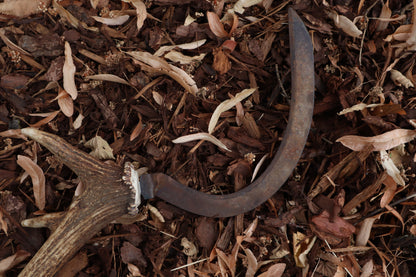 Elk Antler Sickle