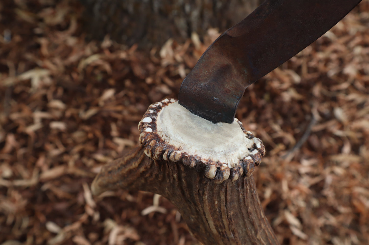 Elk Antler Sickle