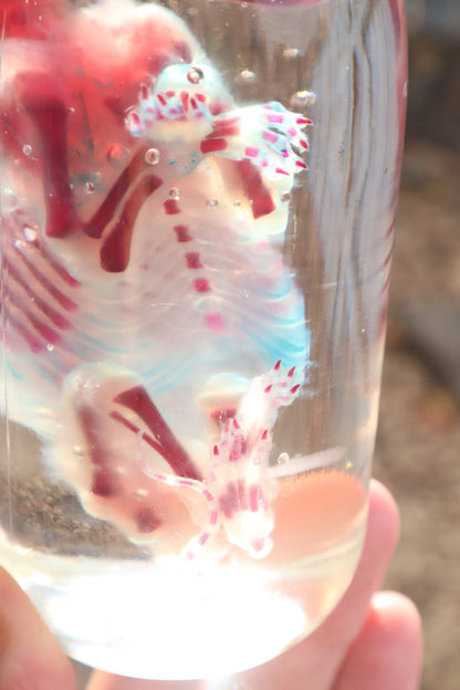 Diaphonized Red Fox Pup
