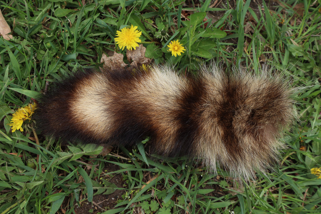 Raccoon Tail