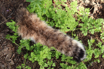 Soft Tanned Bobcat Tail