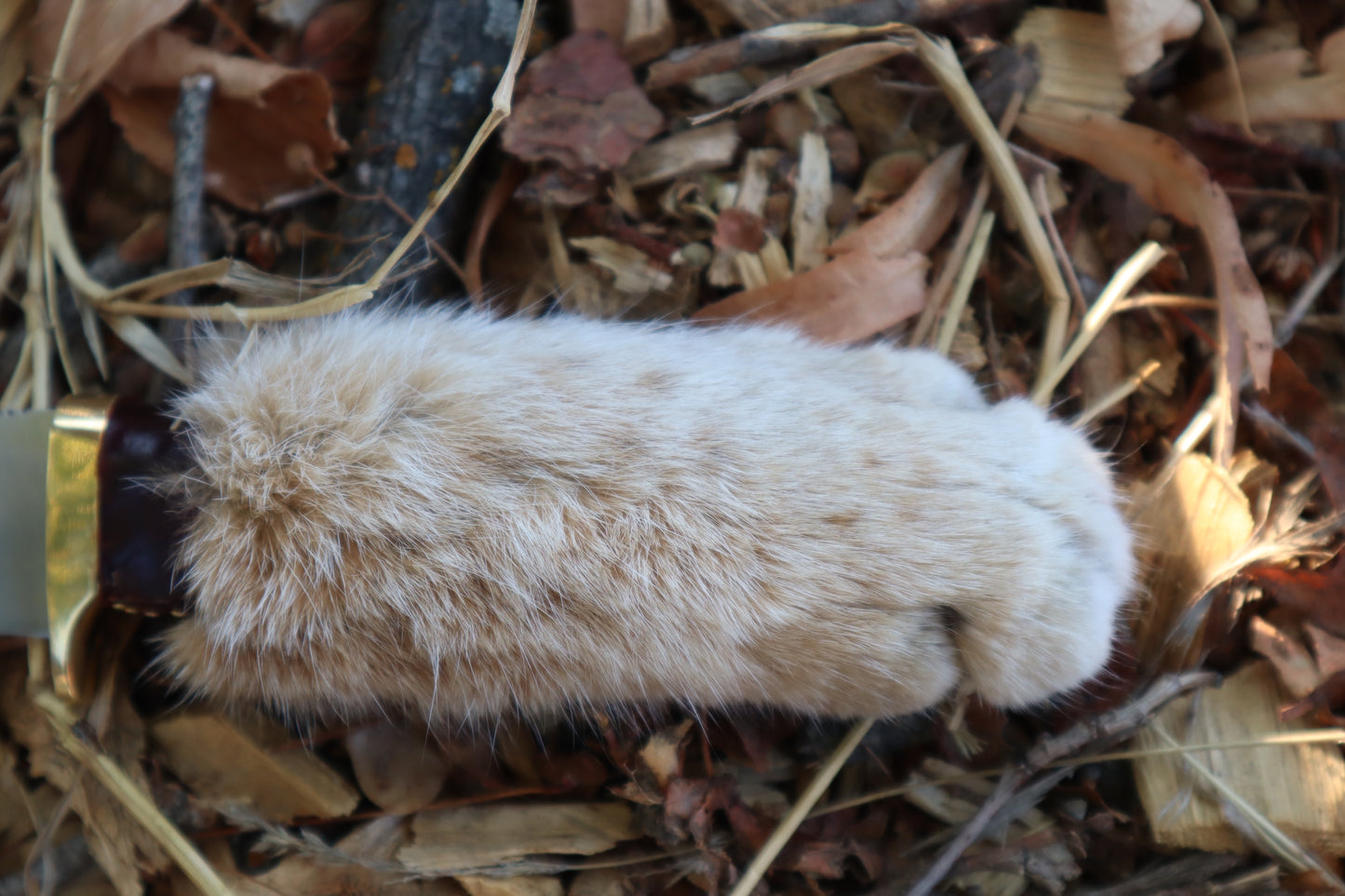 Bobcat Paw Knife