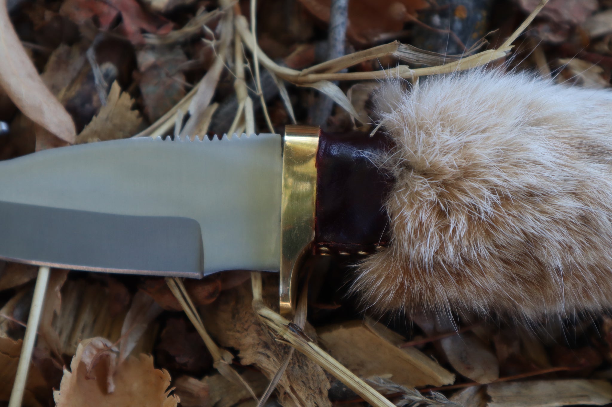 Bobcat Paw Knife