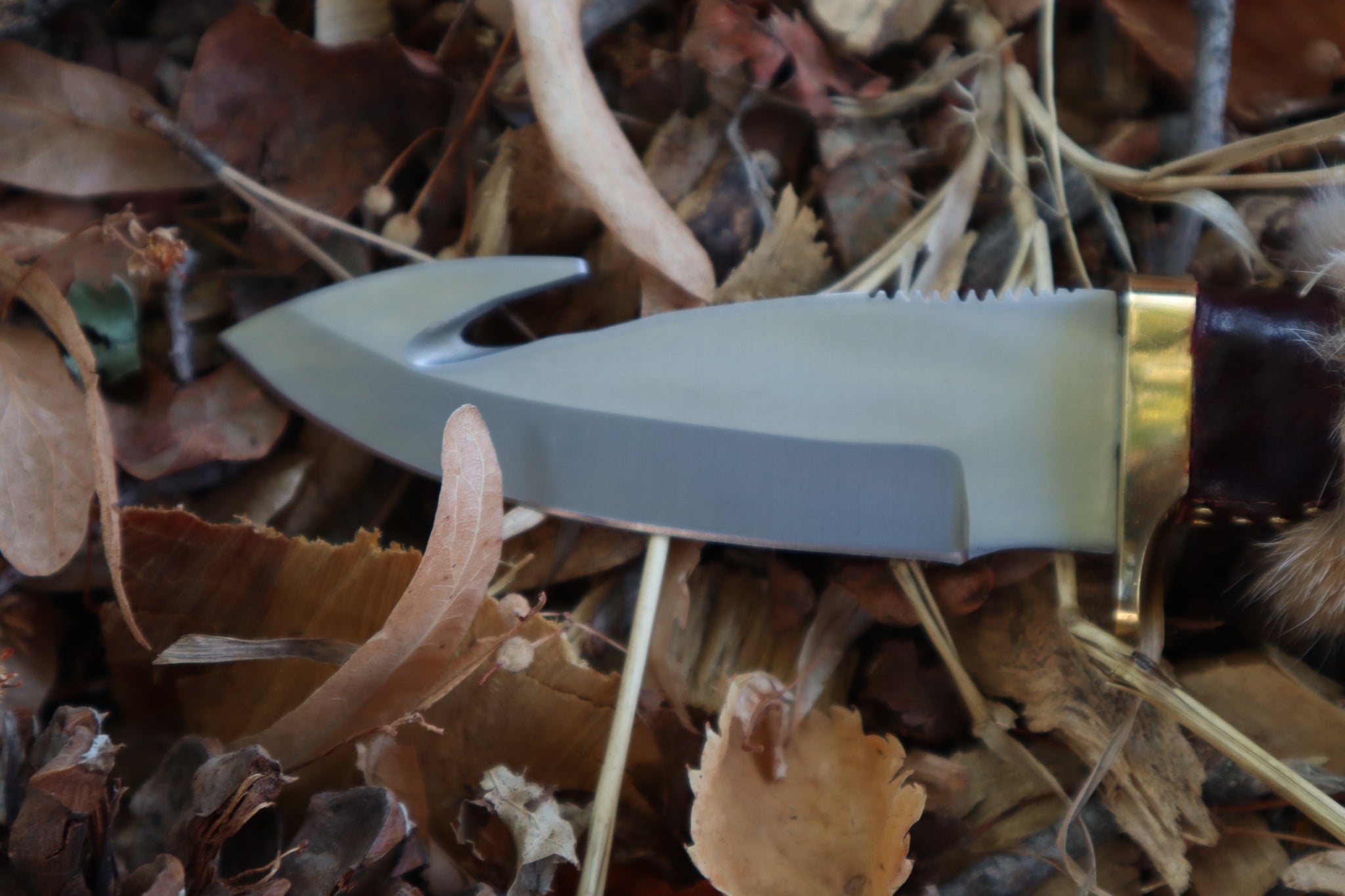 Bobcat Paw Knife