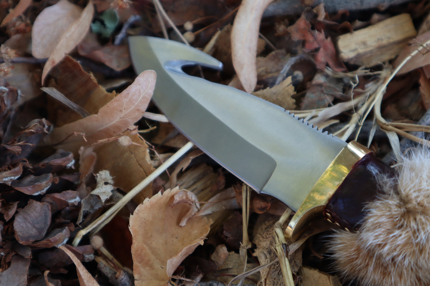 Bobcat Paw Knife